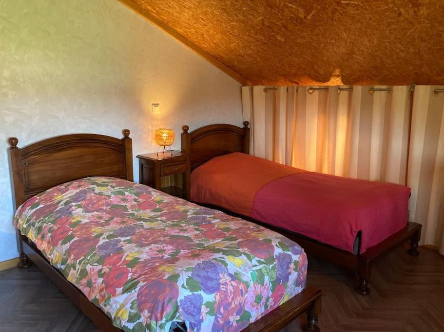 Le Gitanes De La Grotte Au Lion Hébergement de vacances
