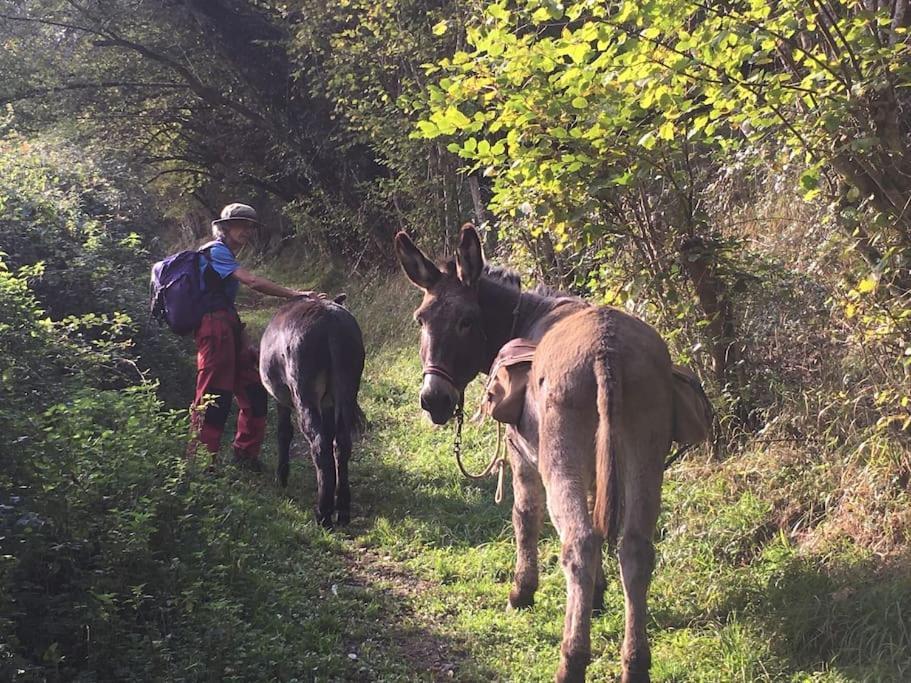 Le Gitanes De La Grotte Au Lion Hébergement de vacances Arbon